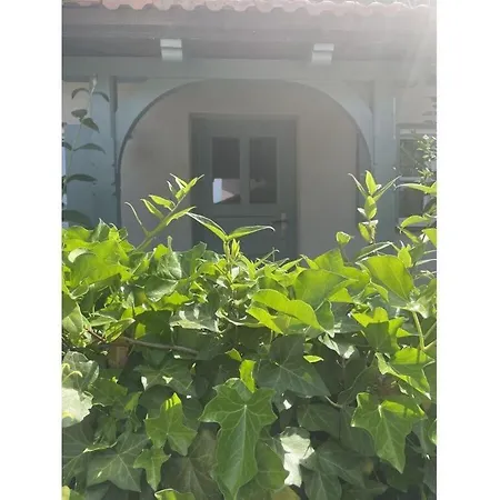 Casa vacanze Gezellige